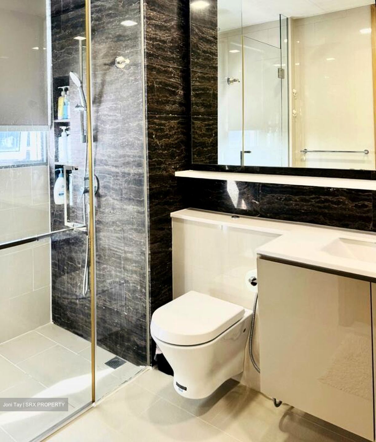 Bartley Ridge (D13), Condominium #496531201